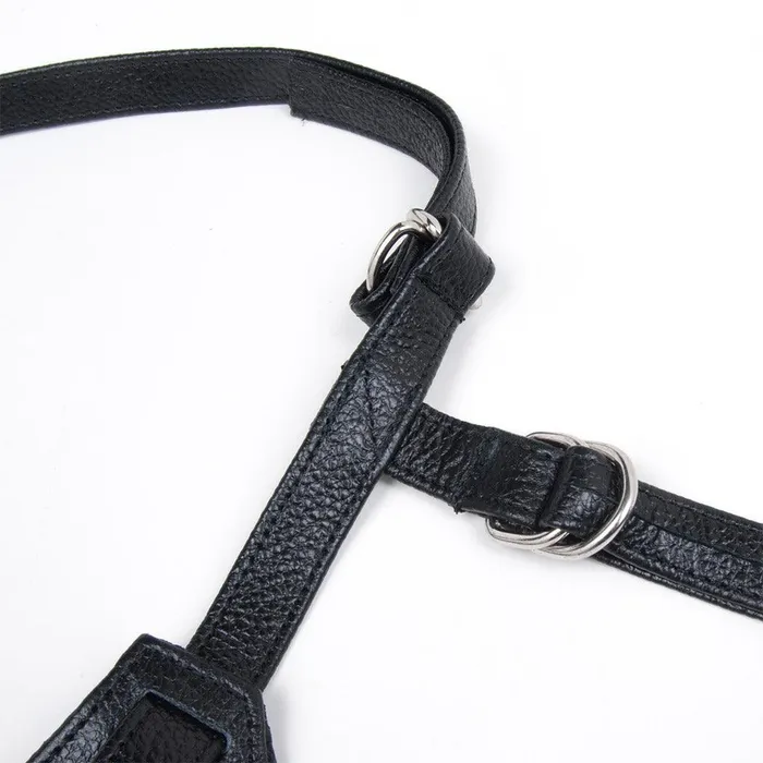 Stormy Leather Anal Terra Firma Dee Strapon Harness Black